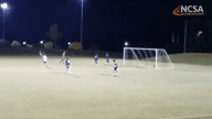 Video of 2019 Highlights