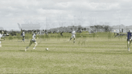 Video of 2024 Spotlight