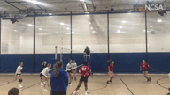 Video of 2019 Highlights