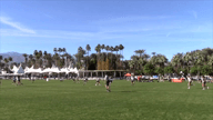 Video of 2019 Highlights