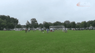 Video of 2019 Highlights