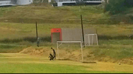 Video of 2021 Spotlight
