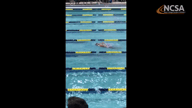 Video of 2019 Highlights