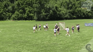 Video of 2019 Highlights