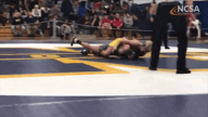 Video of 2020 Highlights