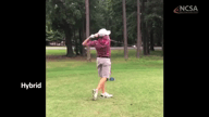 Video of June 2017