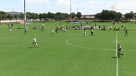 Video of 2020 Highlights	