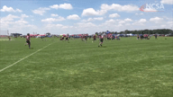 Video of 2019 Highlights