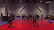 Video of 2017 Highlights