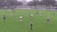 Video of 2020 Highlights