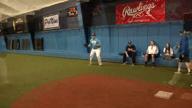 Video of 2017 Highlights