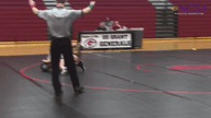 Video of 2016 Highlights
