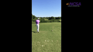 Video of April 2014