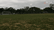 Video of 2019 Highlights