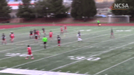 Video of 2018 Highlights