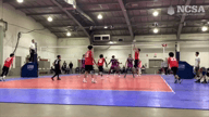Video of 2023 Highlights