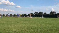 Video of 2022 Spotlight