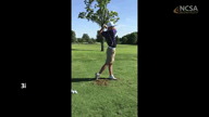 Video of July 2017