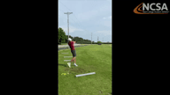 Video of August 2020