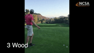 Video of July 2020