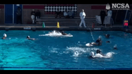 Video of 2024 Highlights