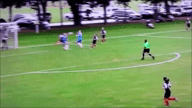 Video of 2014 Highlights