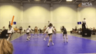 Video of 2019 Highlights