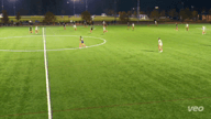 Video of 2024 Highlights