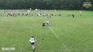 Video of 2020 Highlights
