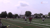 Video of 2019 Highlights