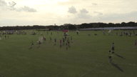 Video of 2019 Highlights