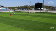 Video of 2022 Highlights