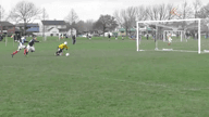 Video of 2018 Highlights