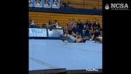 Video of 2024 Highlights