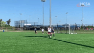 Video of 2021 Highlights