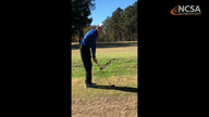 Video of November 2018