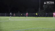 Video of 2023 Highlights #2