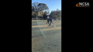 Video of February 2022
