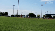 Video of 2018 Highlights