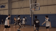 Video of 2019 Highlights