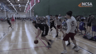 Video of 2020 Highlights