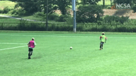Video of 2019 Highlights