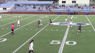 Video of 2020 Highlights