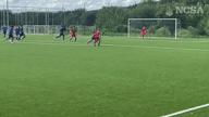 Video of 2024 Highlights 