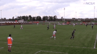 Video of 2015 Highlights