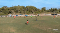 Video of 2022 Spotlight