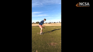 Video of January 2021