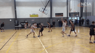 Video of 2019 Highlights
