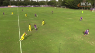 Video of 2019 Highlights