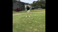 Video of July 2020 